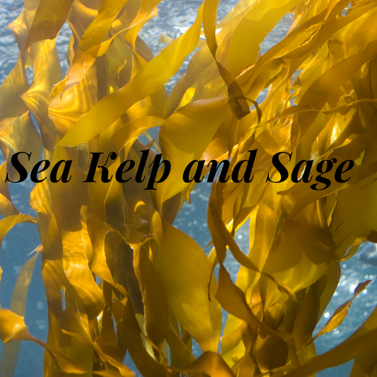 Sea Kelp and Sage Wax Melts
