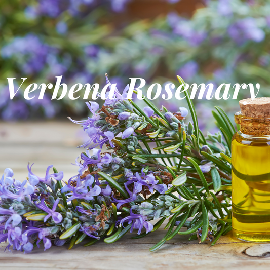 Verbena Rosemary Wax Melts