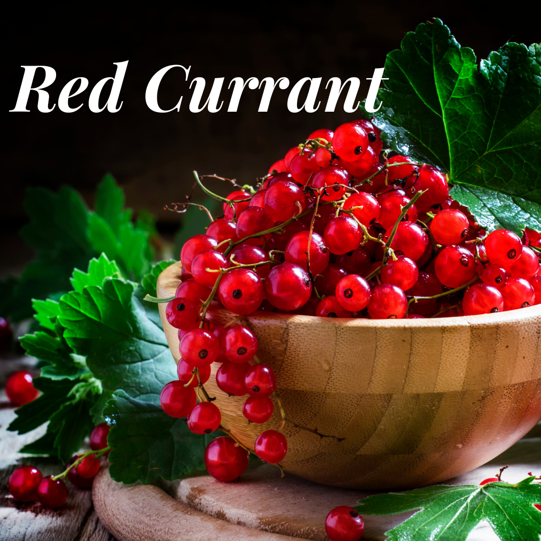 Red Currant Wax Melts