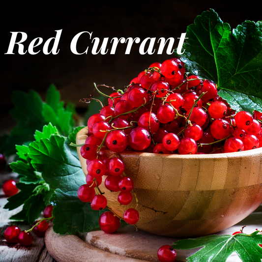 Red Currant Wax Melts